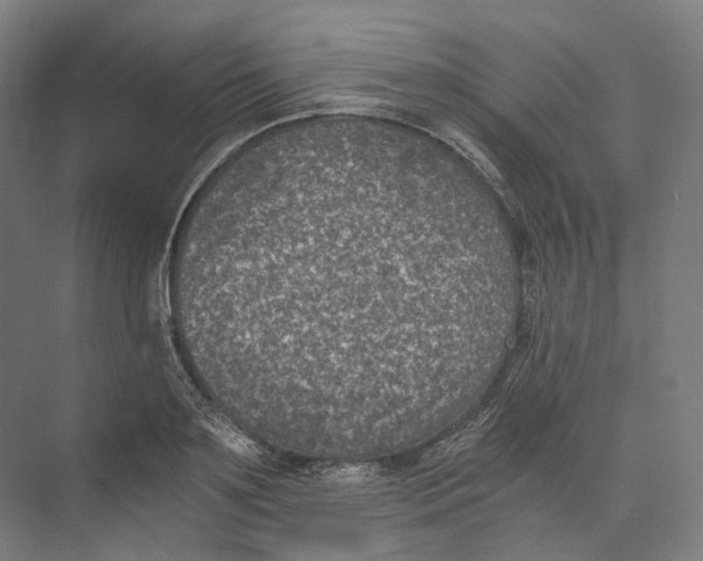 X0000073860891200609071630