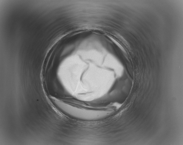 X0000073860893200609071630