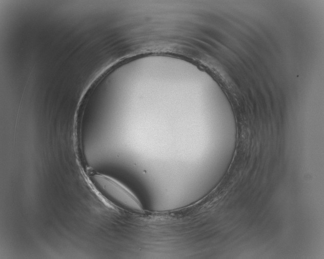 X0000073860894200609071630