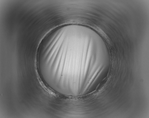 X0000073860896200609071630