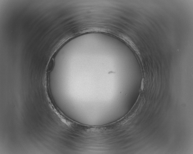 X0000073860898200609071630