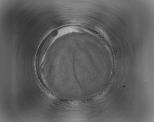 X0000073860899200609071630