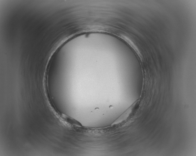 X0000073860901200609071630