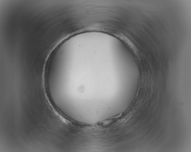 X0000073860902200609071630