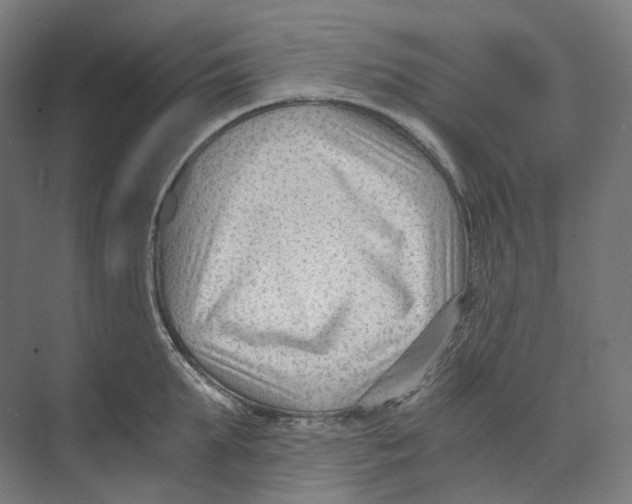 X0000073860903200609071630