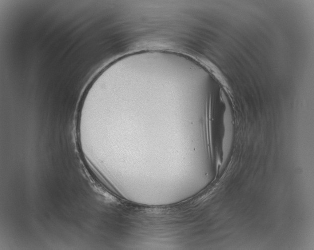 X0000073860904200609071630