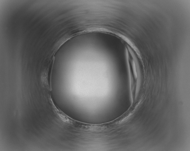 X0000073860905200609071630