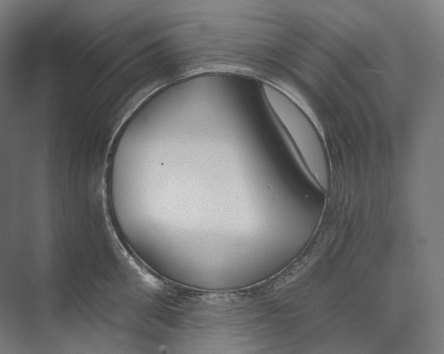 X0000073860906200609071630