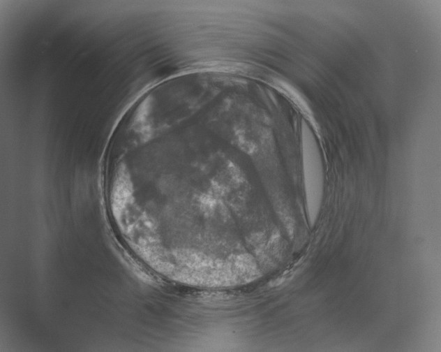 X0000073860907200609071630