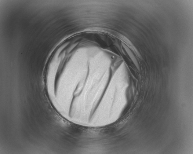 X0000073860908200609071630