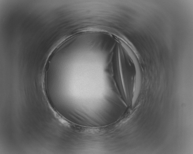 X0000073860909200609071630