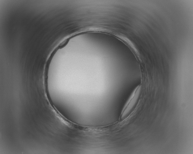 X0000073860910200609071630