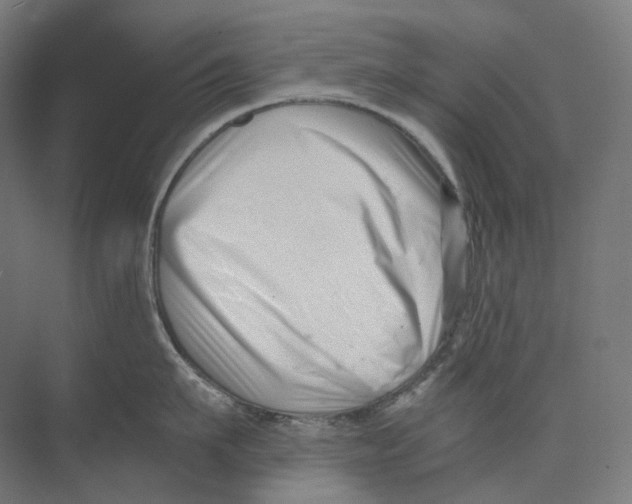 X0000073860911200609071630