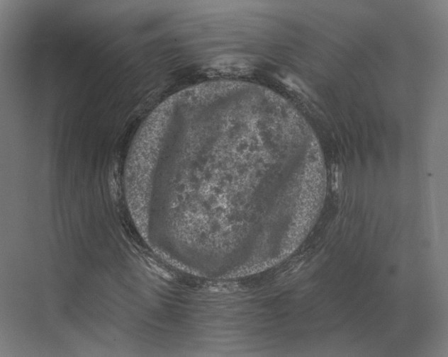 X0000073860915200609071629