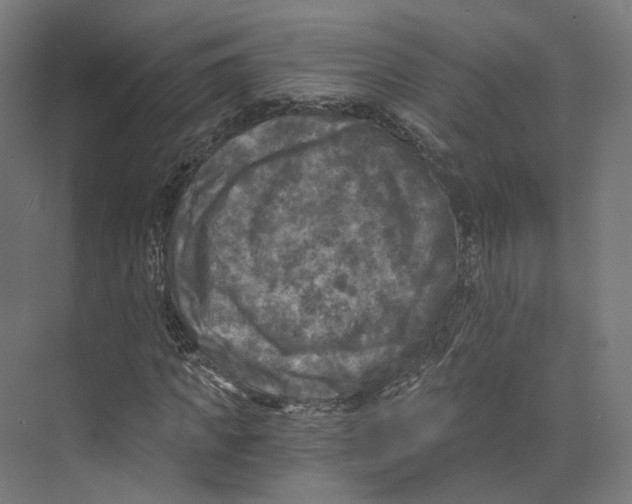 X0000073860917200609071629