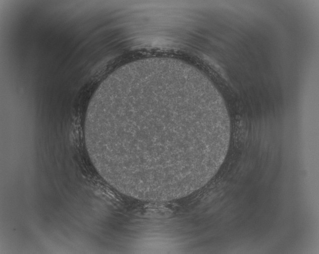 X0000073860918200609071629