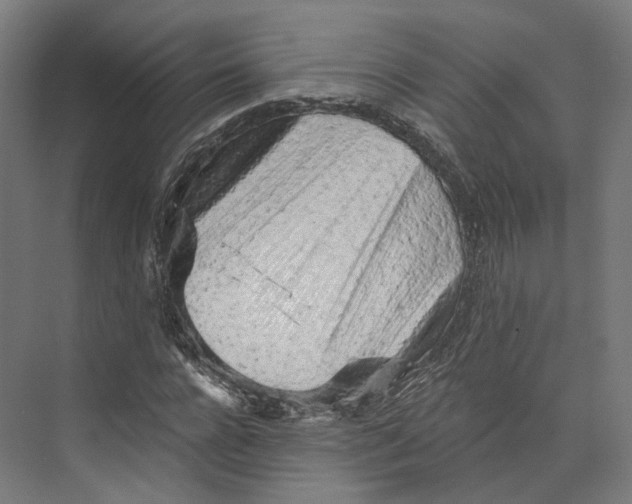 X0000073860920200609071629