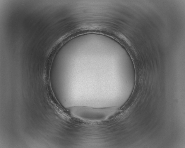 X0000073860922200609071629