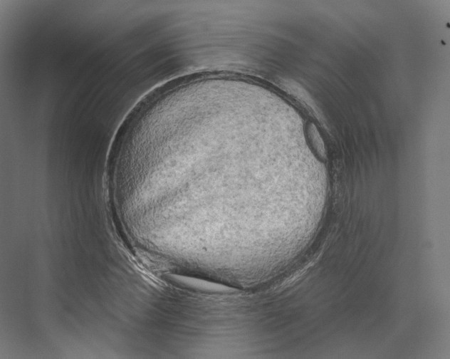 X0000073860924200609071629