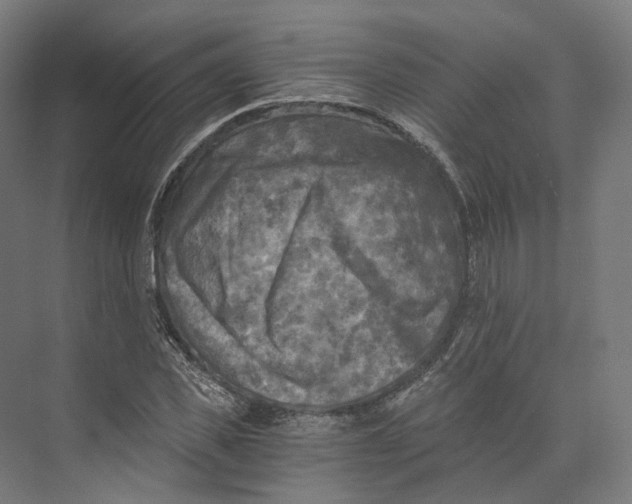 X0000073860925200609071629