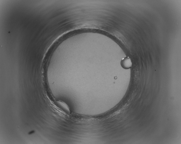 X0000073860926200609071629