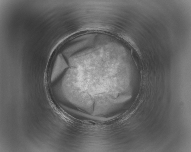 X0000073860928200609071629