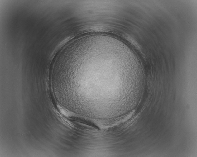 X0000073860930200609071629