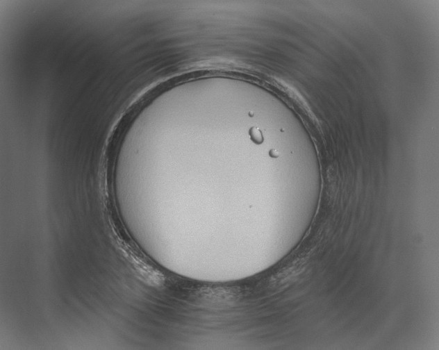 X0000073860931200609071629