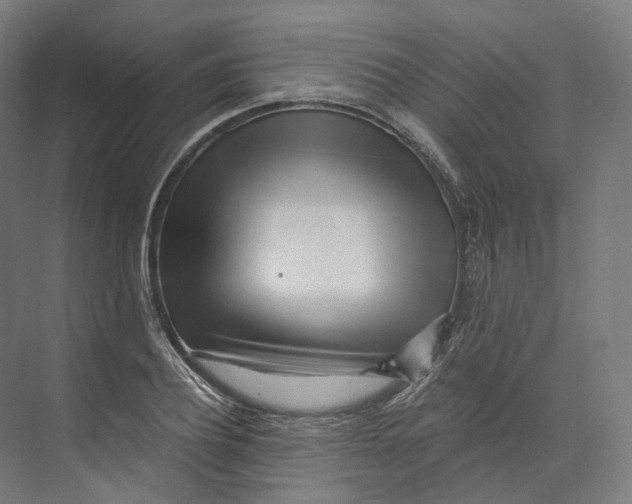 X0000073860932200609071629