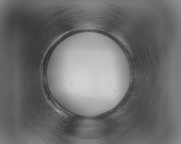 X0000073860933200609071629