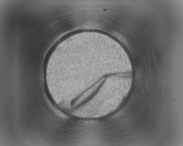 X0000073860934200609071629