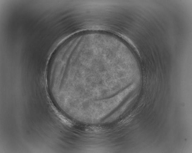 X0000073860935200609071629