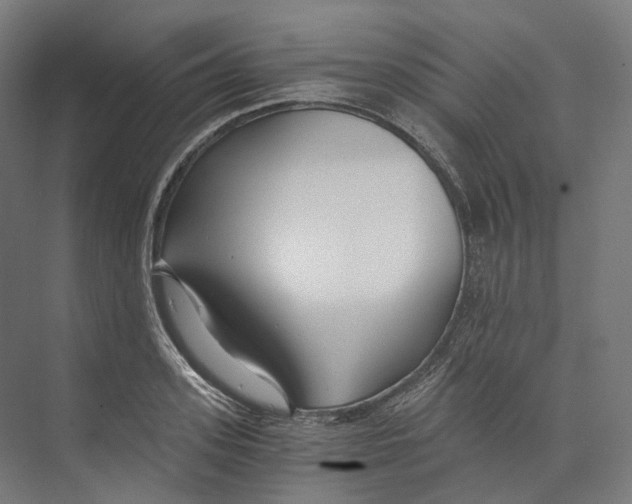 X0000073860939200609071629