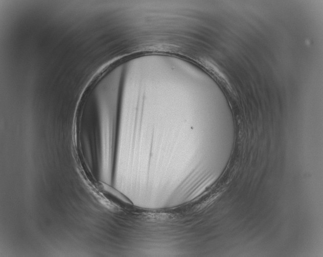 X0000073860940200609071629