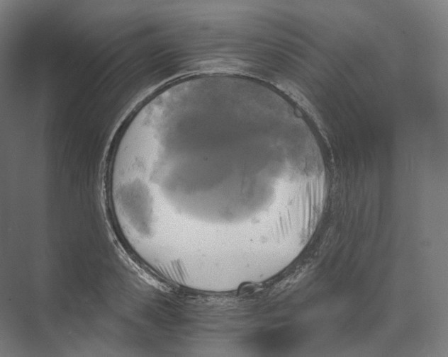 X0000073860941200609071629