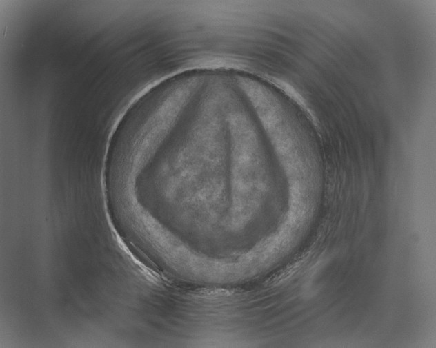 X0000073860943200609071629