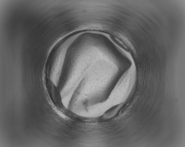 X0000073860944200609071629