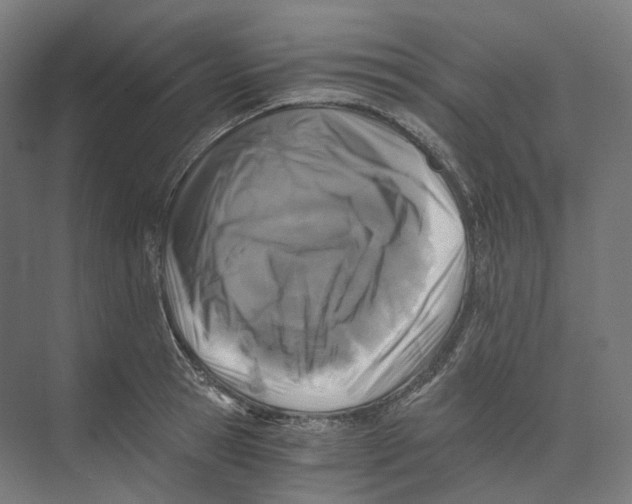 X0000073860945200609071629