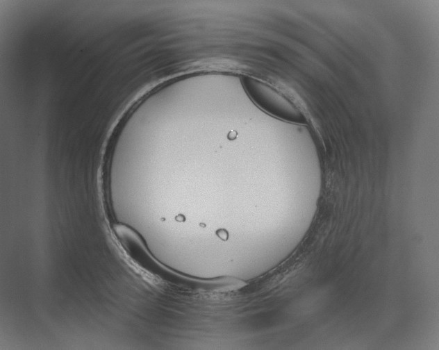 X0000073860947200609071629