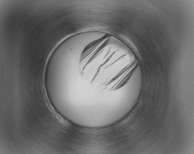 X0000073860948200609071629