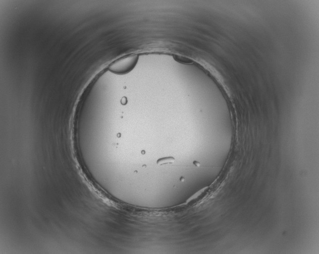 X0000073860949200609071629