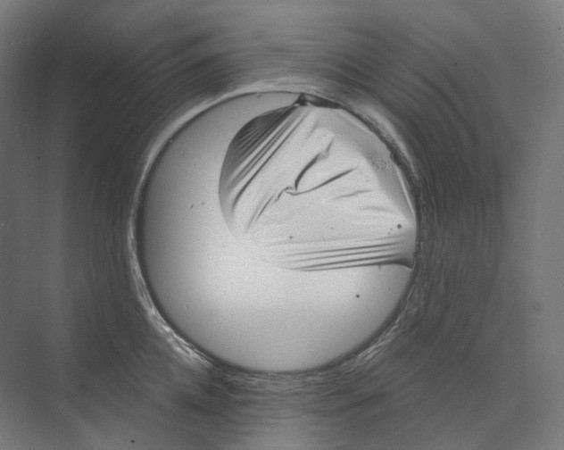 X0000073860952200609071629