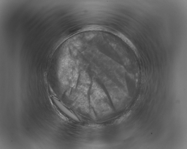 X0000073860953200609071629