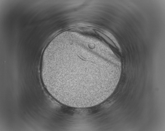 X0000073860954200609071630