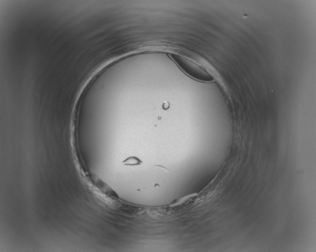 X0000073860955200609071630