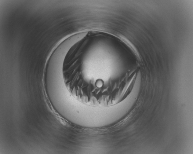 X0000073860956200609071630