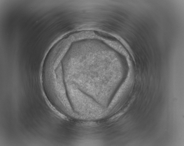 X0000073860957200609071630