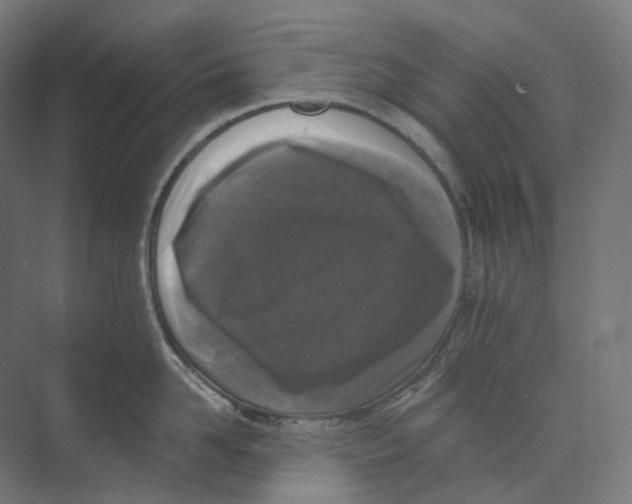 X0000073860958200609071630