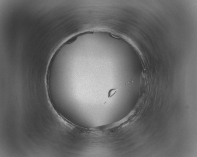 X0000073860959200609071630