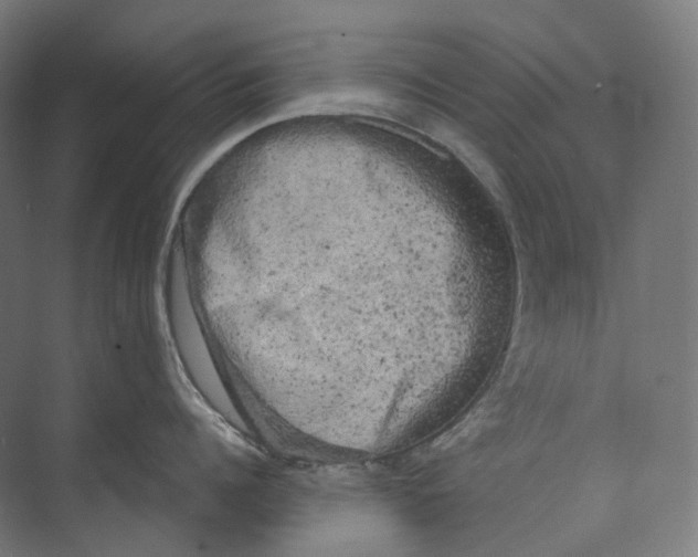 X0000073860960200609071630